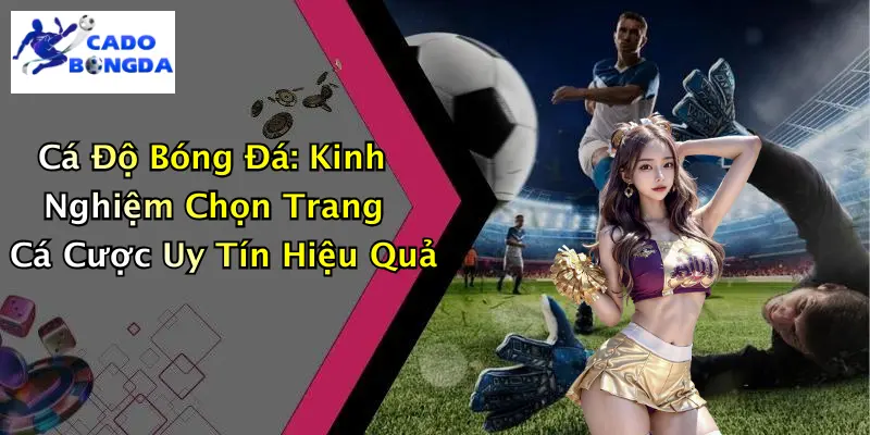 Cá Độ Bóng Đá: Kinh Nghiệm Chọn Trang Uy Tín Hiệu Quả