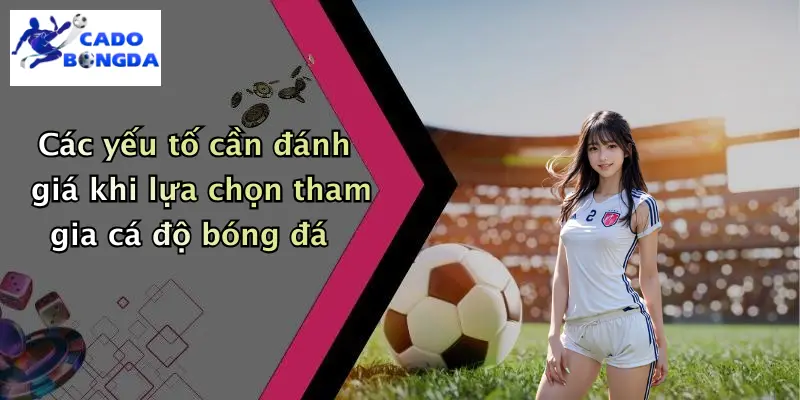Các yếu tố cần đánh giá khi lựa chọn tham gia cá độ bóng đá