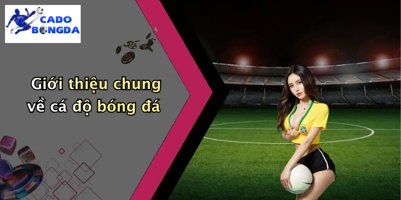 Giới thiệu chung về cá độ bóng đá