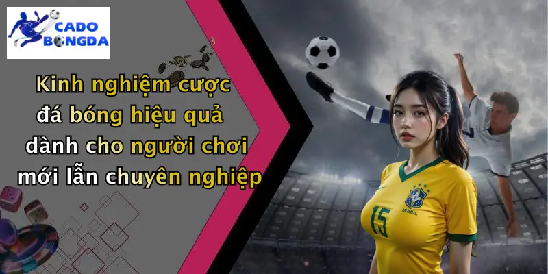 Cá độ bóng đá 124 Cá Độ Bóng Đá