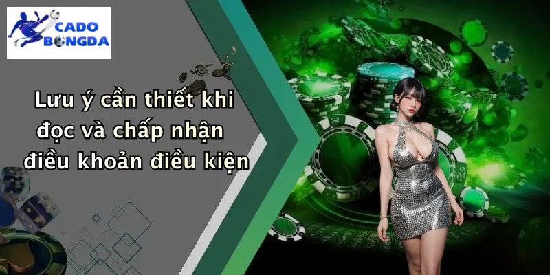 Lưu ý cần thiết khi đọc và chấp nhận điều khoản điều kiện
