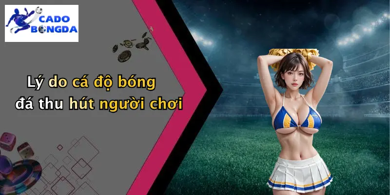 Lý do cá độ bóng đá thu hút người chơi
