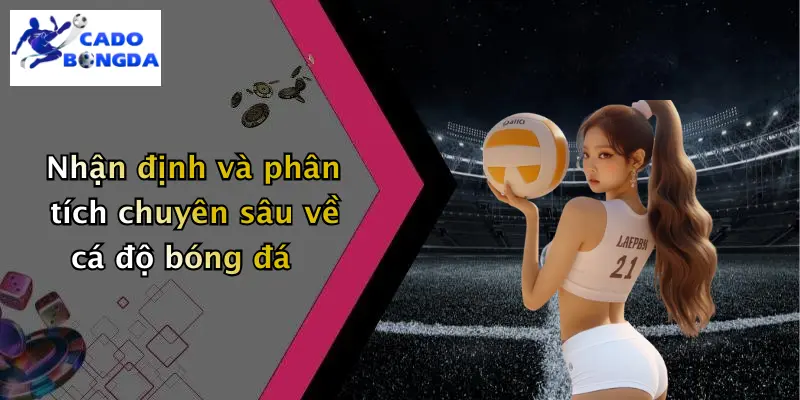 Nhận định và phân tích chuyên sâu về cá độ bóng đá