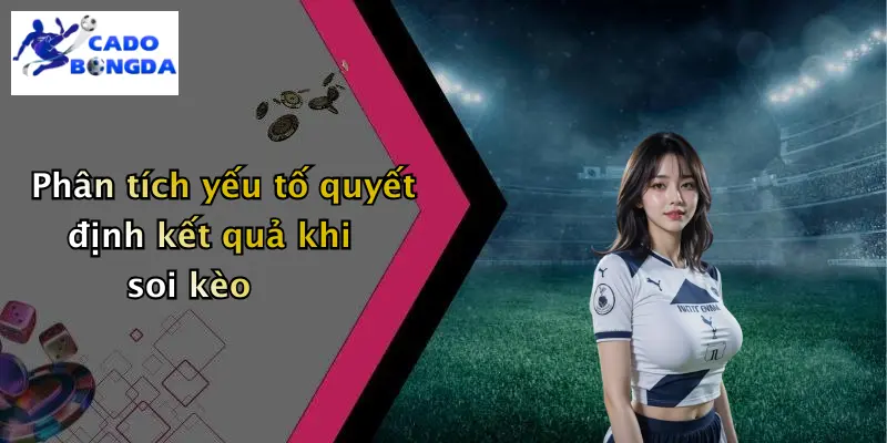 Phân tích yếu tố quyết định kết quả khi soi kèo