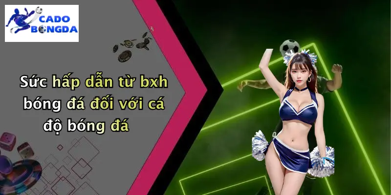 Sức hấp dẫn từ bxh bóng đá đối với cá độ bóng đá
