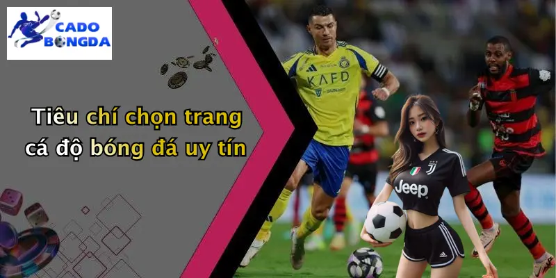 Cá độ bóng đá 121 Cá Độ Bóng Đá
