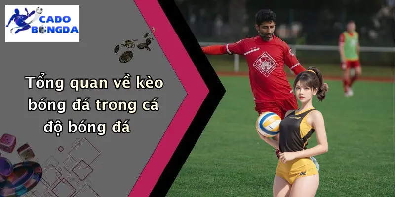 Tổng quan về kèo bóng đá trong cá độ bóng đá