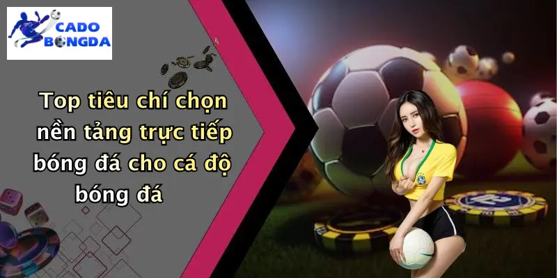Top tiêu chí chọn nền tảng trực tiếp bóng đá cho cá độ bóng đá
