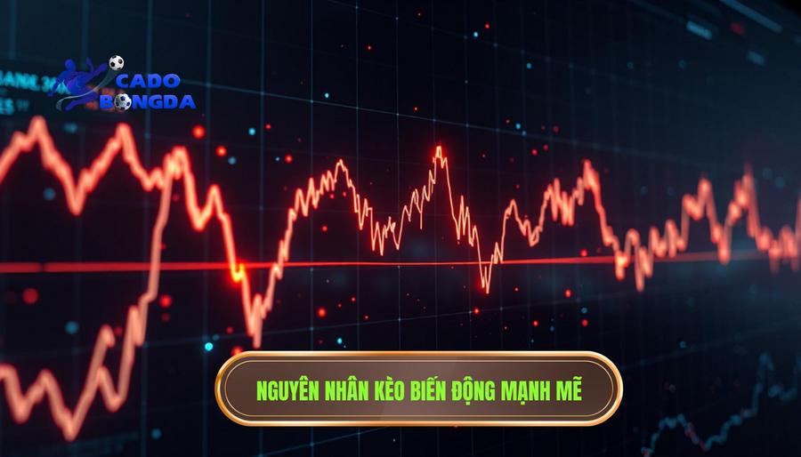 2. Tại sao kèo bắt đầu biến động mạnh? Phân tích đa chiều