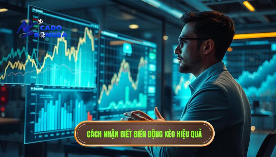 3. Cách nhận biết và theo dõi biến động kèo hiệu quả